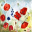 marieluce.aquarelles.over-blog.fr