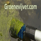 groenevijver.com