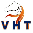 valuehorsetips.co.uk