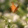 ilabuzz.wordpress.com
