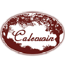 calevwin.com