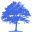 asbillccsit.org