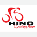 teamhino.com