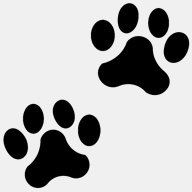 dierenpensionadventure.nl