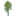 easternwhitepine.org