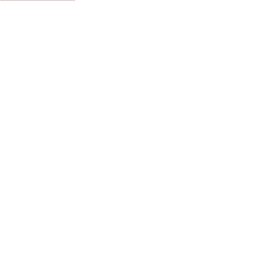 petrazimmermann.net