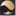 reptrs.com