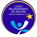 bicentenariomolina.cl