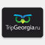 tripgeorgia.net