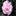 camelia30.over-glob.net.over-blog.com