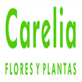 floristeriacarelia.es