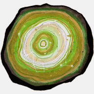 marieagnesbetrancourt.com