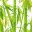 mebelbambuonline.wordpress.com