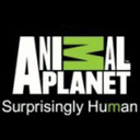 animalplanet.tumblr.com