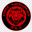 lionstkdacademy.com