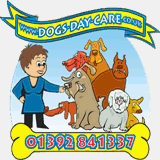 dogs-day-care.co.uk