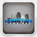 publicidadecampinas.com.br