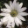 ivegottimeonmyhands.wordpress.com