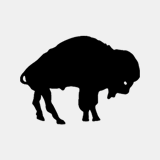 buffaloweddingflowers.com