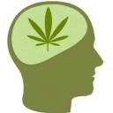 cannabisconsciente.com