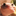 myalbinoleopardgecko.com