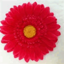 buddphan.com