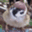 blog.ihatovo.com