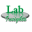 labinsightsllc.com