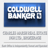 coloradospringsalarm.net