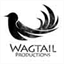 wagtailproductions.co.uk