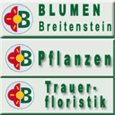 blumen-breitenstein.de