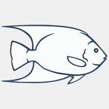 coralcoastclothing.com