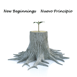 iglesianuevoprincipio.com