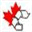 nextcycleinc.ca