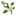 silverfern-kees.de
