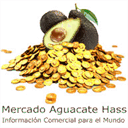 mercadoaguacatehass.com