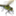 dragonflydesignprint.com