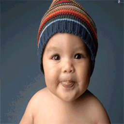 save-misha.com