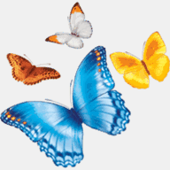 maartenskerkconcerten.nl