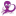 octopuss.com.au