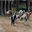 culcl.over-blog.fr