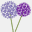 purplemum.com