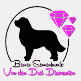 bernersennen-drei-diamanten.de