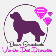 bernersennen-drei-diamanten.de