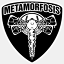 metamorfosisteam.com