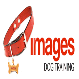 imagesdogtraining.co.nz