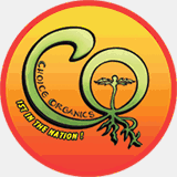 chunfengdaotian.com