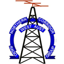 netaelektronik.com