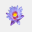 lilyleaves.nl