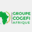 groupe-cogefi.com